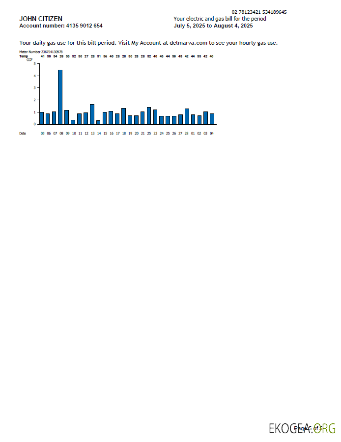 USA Delmarva Power utility bill template in Word and PDF formats, 5 pages, 5th page